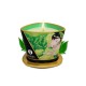 Bougie de massage Zenitude thé vert exotique SHUNGA